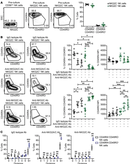 Figure 3. Chronic stimulation of adaptive NK cells through NKG2C leads to a CD45 isoform switch