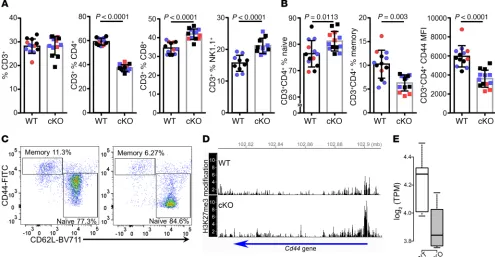 Figure 4. A shift toward a naive phenotype in CD3+with less H3K27me3 histone demethylase activity in cKO