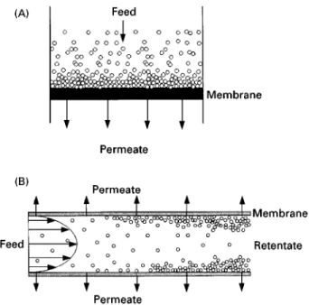 Figure 2 (A) Dead-end filtration and (B) cross-flow microfiltra- microfiltra-tion using a tubular membrane.