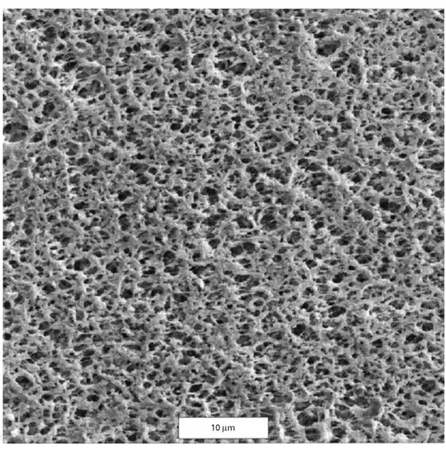 Figure 3 SEM (A } C, E } H) and AFM (D) of surfaces and cross-section of different membranes
