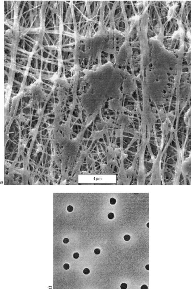 Figure 3 Continued