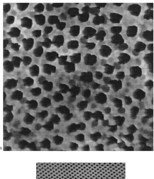 Figure 3 Continued