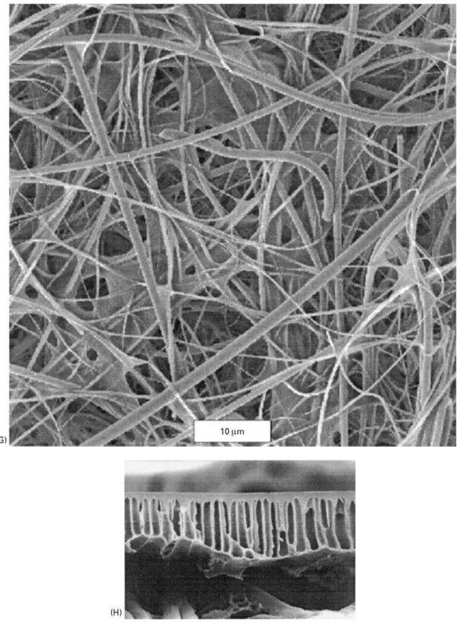 Figure 3 Continued