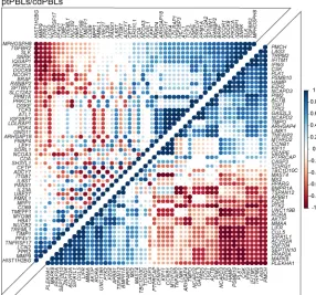 Figure 3. Pan-cancer DEGs have extensive PPI. PPI net-actors within the network, and blue DEG names represent centrality of interactors (as determined by the all-pairs is very significant relative to proteins drawn at random, indicating a biological connec