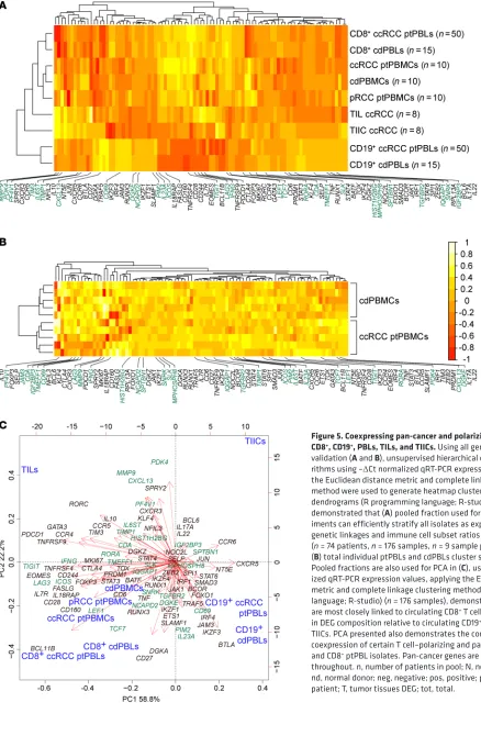 Figure 5. Coexpressing pan-cancer and polarizing DEGs stratify CD8throughout. n, number of patients in pool; N, normal tissues DEG; nd, normal donor; neg, negative; pos, positive; prog, prognosis; pt, validation (rithms using –the Euclidean distance metric