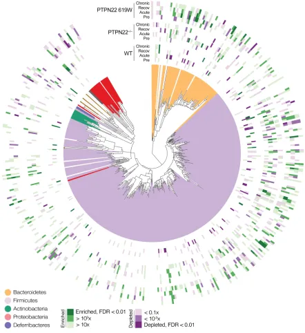 Figure 8. Phylogenetic representation of univariate genotype-specific taxa associations with DSS treatment