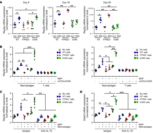 Figure 10. PTPN22 affects expression of antimicrobial peptides in an IL-18–dependent manner