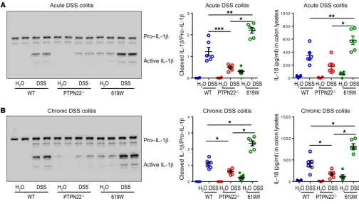 Figure 2. Presence of the 619W variant in PTPN22 affects inflammasome activation and IL-18 secretion