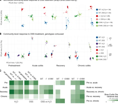 Figure 6. Genotype-specific effects of DSS treatment on the gut microbiota. (A) Distinct compositional shifts in each genotype relative to H2O-treated controls were observed upon 1 cycle of DSS treatment (acute colitis), following a 10-day recovery phase, 