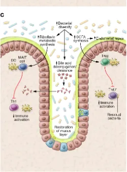 Figure 1. Models of intestinal environments affecting GvHD devel-opment. (A) Effects of conditioning
