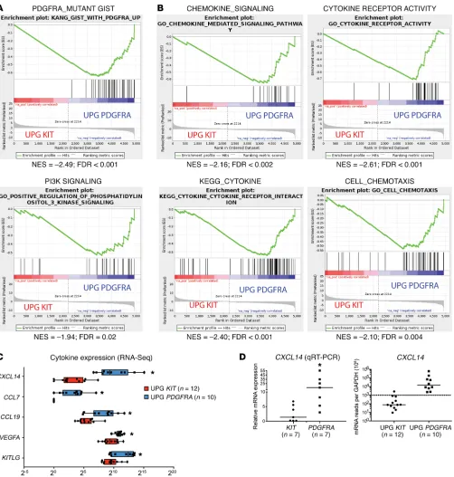 Figure 4. PDGFRA- and KIT-mutant GISTs have distinct signaling and cytokine signatures