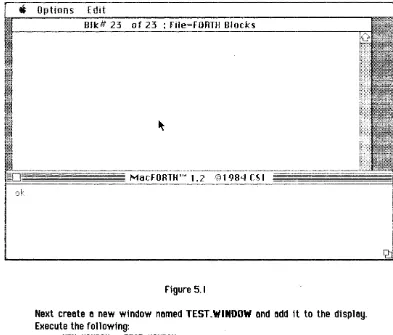 Figure 5.1 Next creete e Execute new window nemed TEST. WINDOW and add it to the display