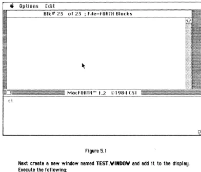 Figure 5.1 Next creete e Execute new window nemed TEST. WINDOW and add it to the display