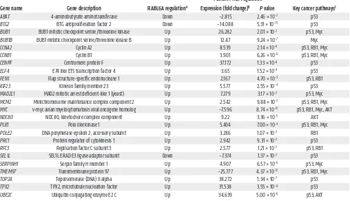Table 1. Comparison of RABL6A regulated genes with significantly altered genes in human PNETs