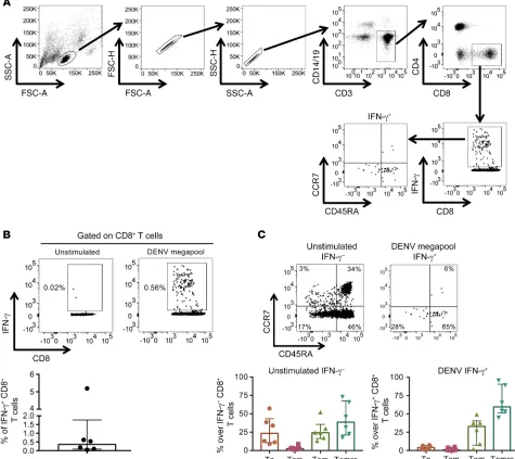 Figure 1. DENV-specific CD8+strategy to identify and sort DENV-specific CD8IFN- T cells are predominantly Tem and Temra cells