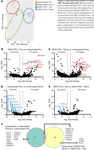 Figure 2. Gene expression profiles of unstimulated and DENV IFN-γCD8The subset of genes with logfor the comparison between DENV IFN-Volcano plots show log+ + Tem and Temra cells
