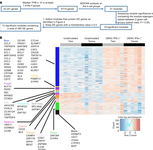 Figure 3. Identification of gene modules that can discriminate between unstimulated and DENV IFN-γdepicting the strategy for coexpression and clustering analysis