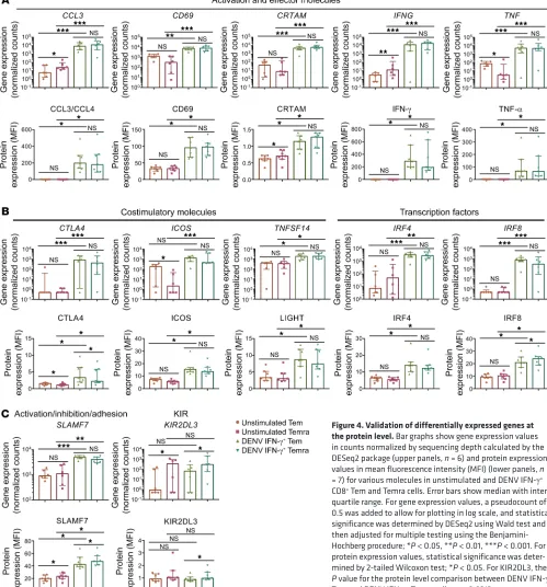 Figure 4. Validation of differentially expressed genes at the protein level. Bar graphs show gene expression values in counts normalized by sequencing depth calculated by the DESeq2 package (upper panels, n = 6) and protein expression values in mean fluore