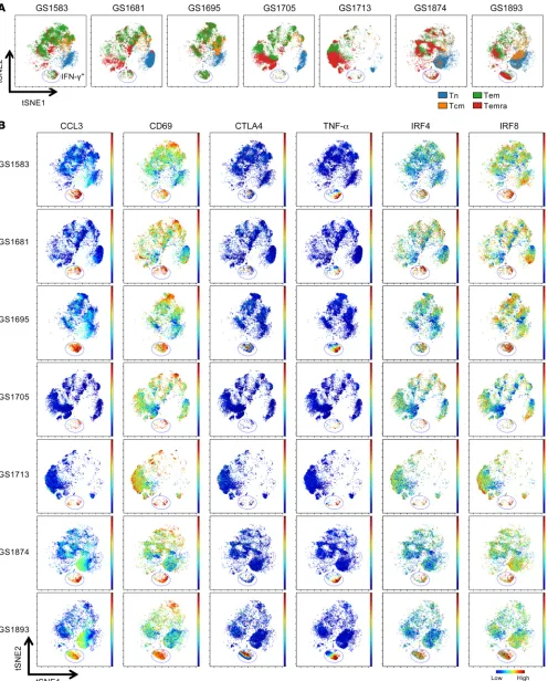 Figure 5. Single-cell analysis of high-dimensional CyTOF data reveals dynamics of CD8+tSNE2 axes based on the expression of 32 proteins (viSNE map of total CD8 T cell subsets