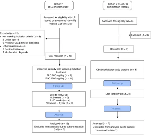 Figure 1. Flowchart of patients recruited to the clinical observational study. Patients in cohort 1 received induction treatment as per local treatment policy, either 800 mg or 1200 mg per day FLC for the first 2 weeks