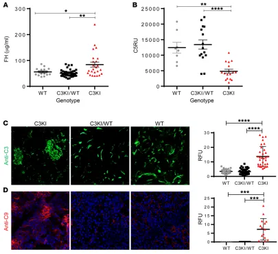 Figure 5. Complement dysregulation in C3KI mice. (A) Complement FH levels in mouse plasma isolated from 19 C3KI mice (triangles), 34 C3KI/WT (squares), and 19 WT (circle) mice, P14–28, were established using an in-house sandwich ELISA described in Methods