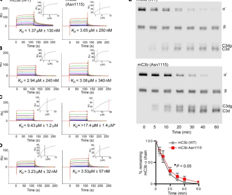 Figure 6. Molecular basis of complement dysregulation in C3KI mice. SPR analysis using mouse C3b derived from WT or C3KI mouse plasma