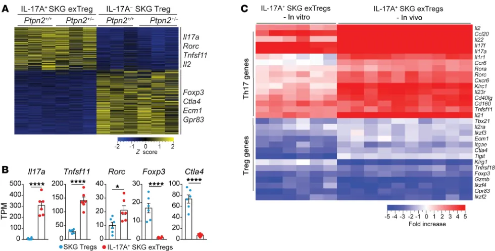 Figure 9. In vitro–generated exTregs recapitulate in vivo exTregs. (malized expression of selected genes in IL-17ACD28–coated beads
