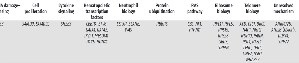 Table 1. Mutations in DNA repair genes implicated in cellular mechanisms of familial MDS/acute leukemia