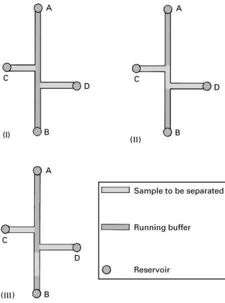 Figure 4Sample introduction into the separation channel.(I) When the voltage is applied between reservoirs A and B, theseparation channel is filled with running buffer