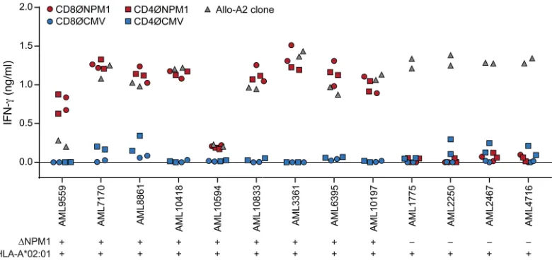 Figure 5. Recognition of primary AMLs after Δof 13 HLA-A*02:01–positive primary AMLs, including 9 samples with (CD8ØNPM1; red circles) and CD4TCR