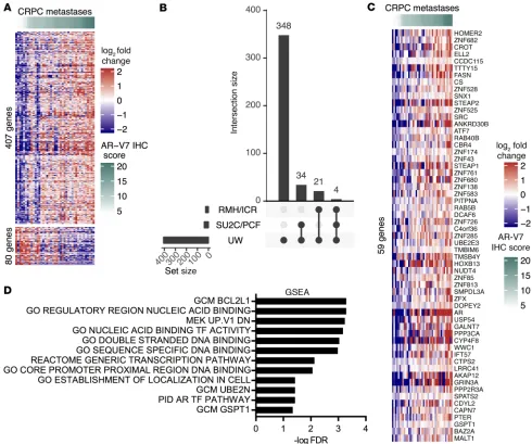 Figure 7. AR-V7 protein expression is associated with a unique gene signature in metastatic CRPC