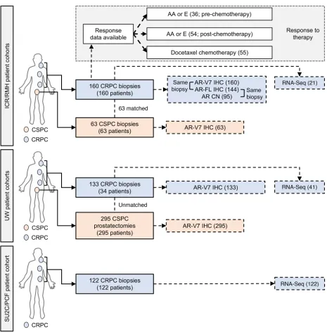 Figure 2. Summary of clinical samples analyzed. Overview of the ICR/RMH, UW, and SU2C/PCF patient cohorts utilized for this study
