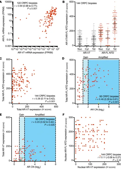 Figure 5. AR-FL and AR-V7 mRNA and protein quantification with AR copy number analysis in CRPC