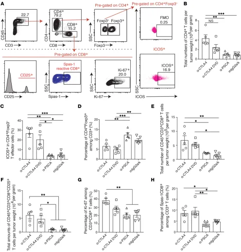 Figure 7. Immune landscape within tumors after different CTLA4 blockades. C57BL/6j male mice were implanted with TRAMP-C2 tumors at day 0, and tumor weight