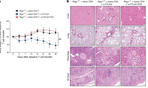 Figure 4. Anti-CTLA4 DVD reduced treatment-associated toxicity in mice. Eight- to ten-week-old male Rag1isotype control