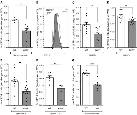 Figure 4. Decreased PD-L1 expression on cells in the microenvironment in the absence of CD84