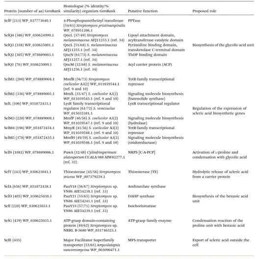 Table 1Proposed function of the biosynthetic, regulatory and resistance genes from the scl gene cluster