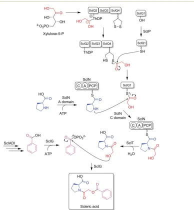 Fig. S5†). This is consistent with literature data for synthetic