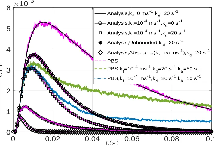 Fig. 3. Observation probability function obtained from analysis and PBS for different sphere radius values, rs = {5, 6, 7, 10, ∞}µm.