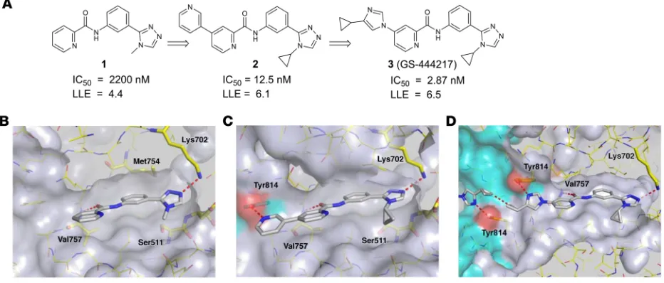 Figure 1. Structure-based drug design of compound 3, GS-444217. (A) Medicinal chemistry optimization of compound 1 showing improved biochemi-cal potency (IC50) and maintenance of low lipophilicity resulting in improved lipophilic ligand efficiency (LLE)