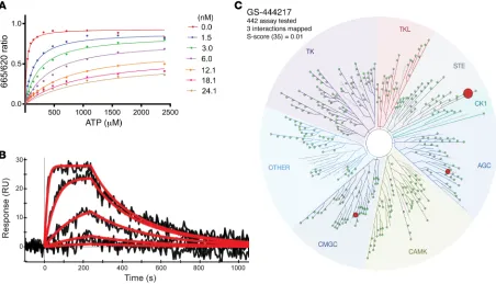 Figure 2. GS-444217, a selective ATP-competitive inhibitor of ASK1. (A) Enzymatic competition of GS-444217 with ATP was measured in the presence of increasing concentrations of GS-444217 (0–24 nM) and ATP (0–2,400 μM)
