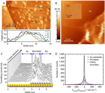 Figure 7. (A) In air STM scan of Pd islands on an Au(111) surface with line profiles to display monoatomic height
