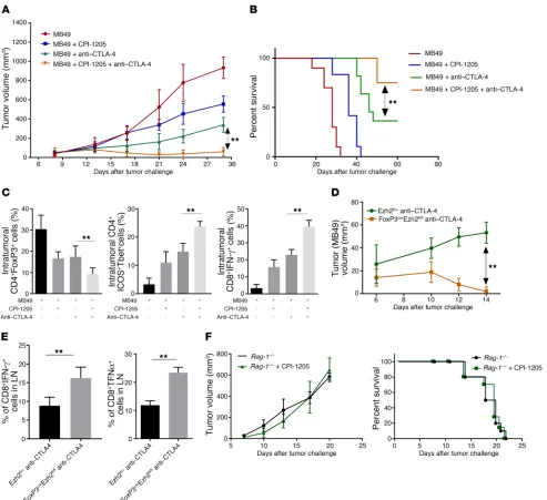 Figure 3. Blocking expression of EZH2 mediated by anti–CTLA-4 using CPI-1205 increases the effectiveness of anti–CTLA-4 therapy