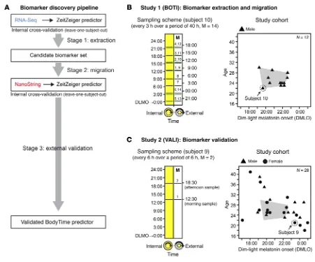 Figure 1. Biomarker discovery strategy, sampling schemes, and study cohorts. (A) Biomarker discovery pipeline