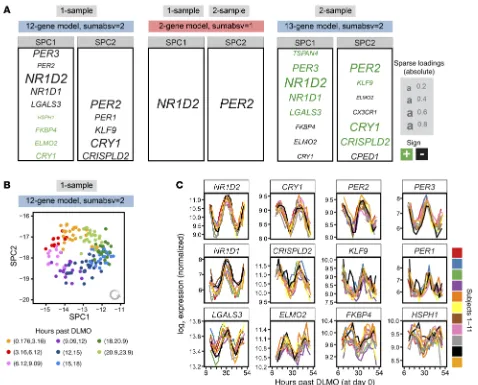 Figure 3. Composition and properties of the final NanoString BodyTime predictors. (A) One-sample and 2-sample predictors trained on the NanoString data of the BOTI study (n = 154 samples) for sumabsv = {1, 2} and nSPC = 2