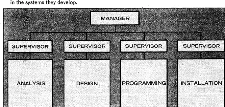 Fig. 2. Functional organization works best in a production environment, but it creates problems of control over system development and maintenance
