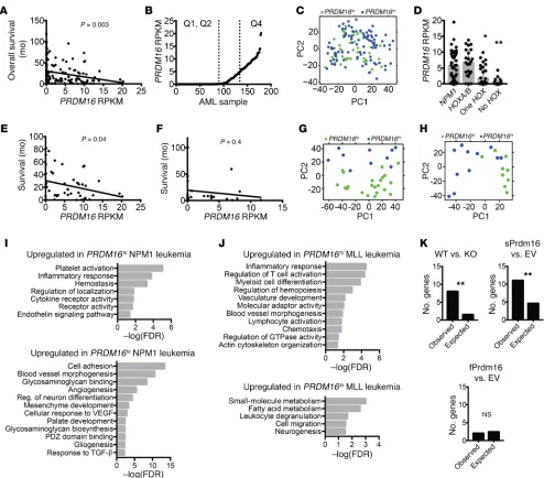 Figure 7. PRDM16exclusive groups from the CGA AML cohort: and samples (rearranged ( is associated with an inflammatory signature in a subset of human AML