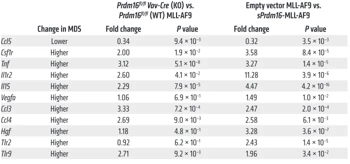 Table 1. Genes differentially expressed by sPrdm16-expressing leukemia and MDS