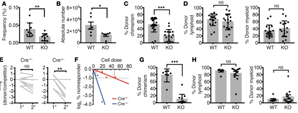 Figure 1. Prdm16recipients and secondary recipients (of WT or KO FL HSCs 16 weeks after competitive transplantation (donor cells from in BM of adult  supports normal HSC function