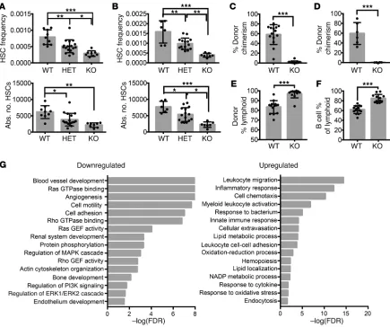 Figure 3. Hematopoietic phenotype of fPrdm16donor chimerism 16 weeks after competitive transplantation of WT or KO FL HSCs (recipient mice from of the or Student’s -deficient mice